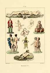 Phénomène